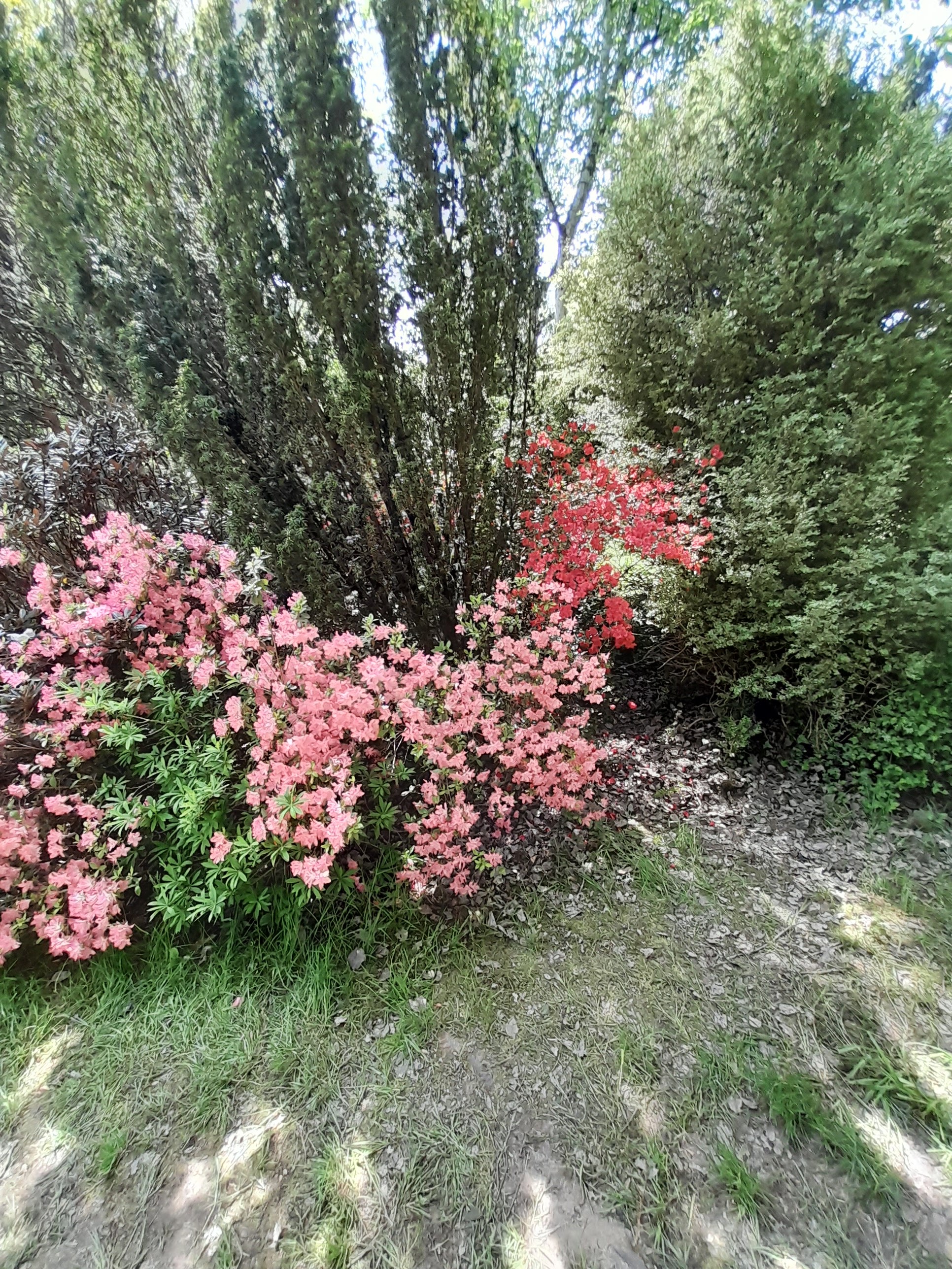 Photo n° 7 de l'avis de martine.u fait le 23/05/2023 à 16:09
