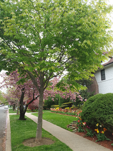 Stadium «Forest Hills Stadium», reviews and photos, 1 Tennis Pl, Forest Hills, NY 11375, USA