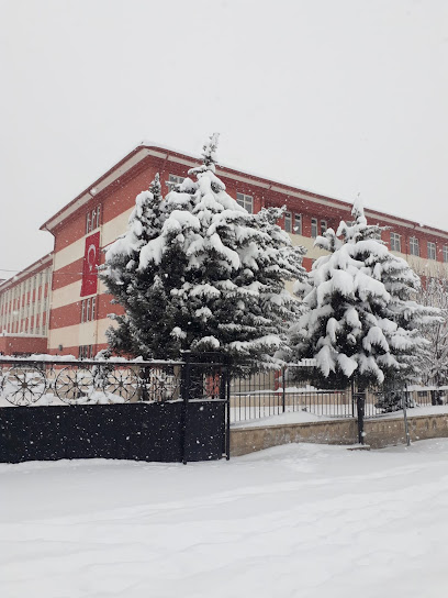 Göztepe Anadolu Lisesi sosyal bilimler sitesi