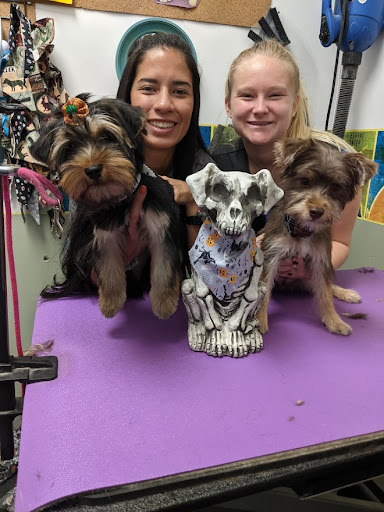 Pet Groomer «A Klassy Lassie, LLC», reviews and photos, 30 Old Jackson Rd, McDonough, GA 30252, USA