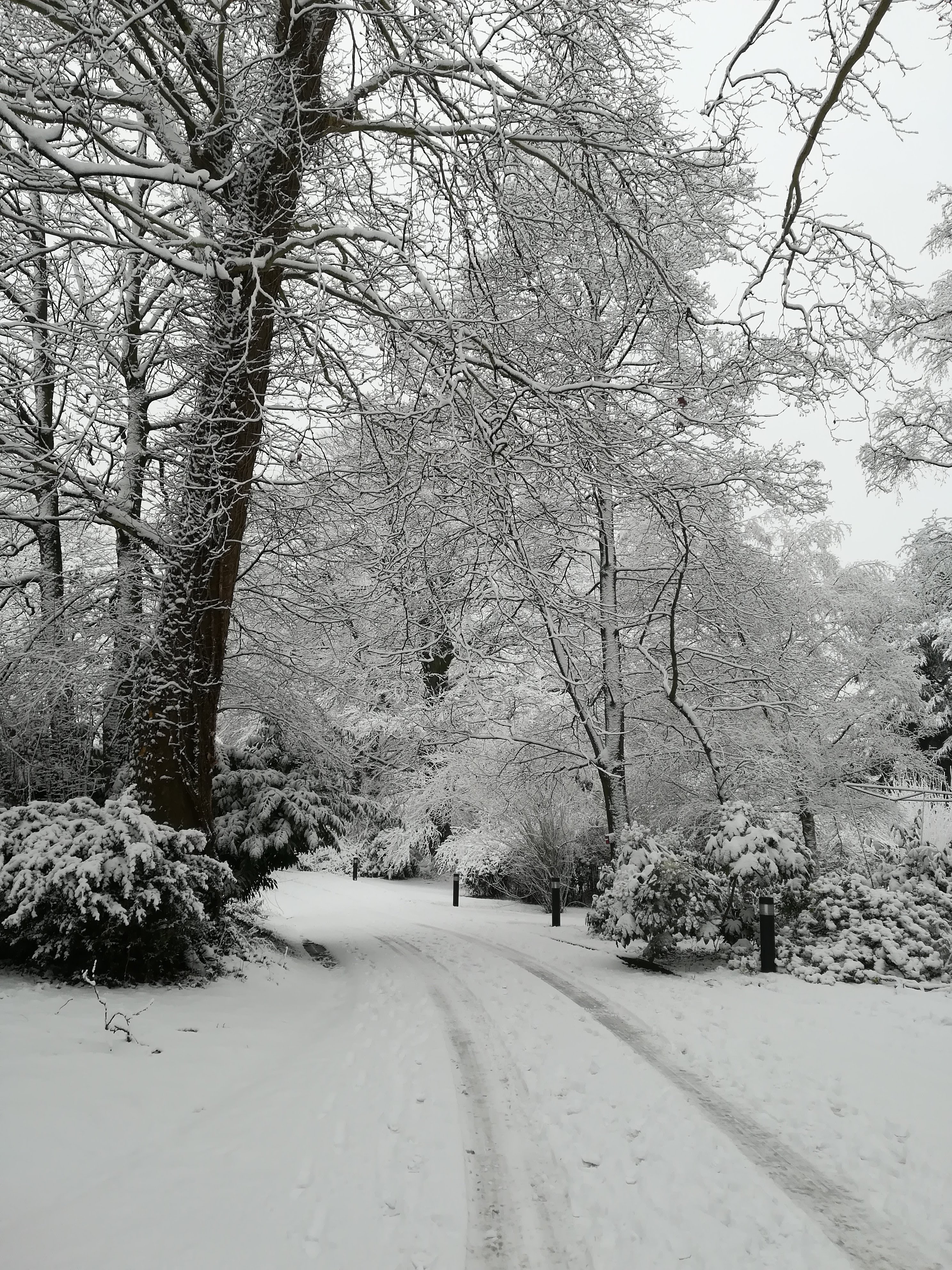 Photo n° 1 de l'avis de Delphine.A fait le 25/01/2019 à 15:54
