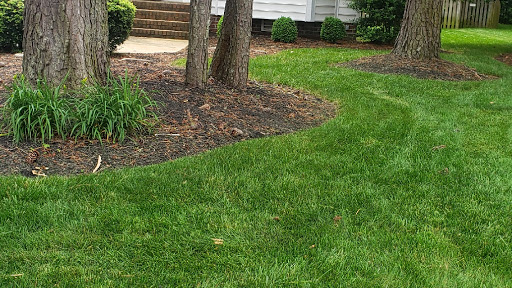 Lawn And Order RVA Property maintenance