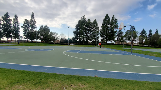 Basketball Courts