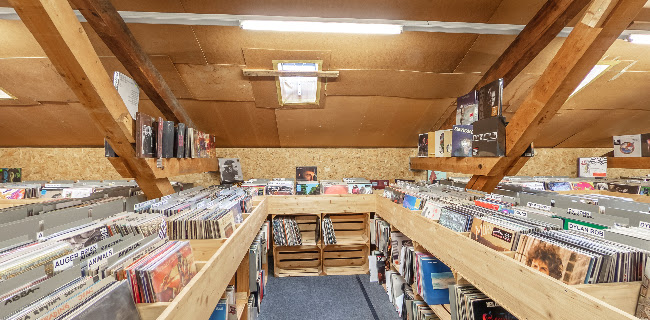 Rezensionen über ZERO ZERO Vinyl und CD in Wettingen - Musikgeschäft