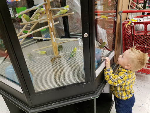 Pet Supply Store «Petco Animal Supplies», reviews and photos, 5565 S Virginia St, Reno, NV 89502, USA