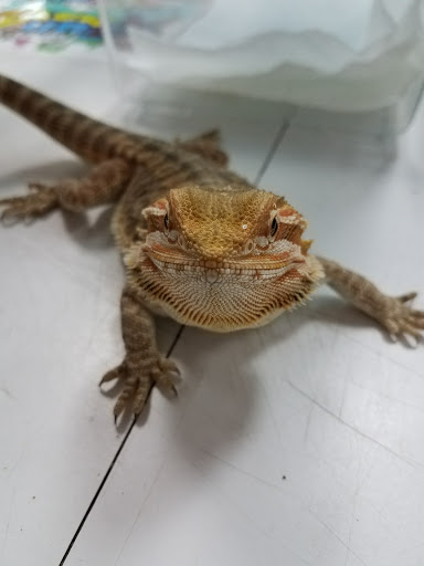 Shopping Mall «Hampton Plaza Shopping Center», reviews and photos, 4033 W Mercury Blvd, Hampton, VA 23666, USA