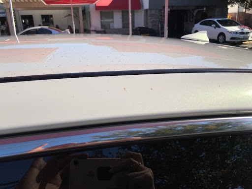 Car Wash «Premier Car Wash», reviews and photos, 790 Montague Expy, San Jose, CA 95131, USA