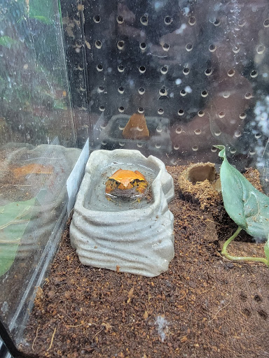 Pet Store «Fin & Feather of Ashland», reviews and photos, 307 S Center St, Ashland, VA 23005, USA