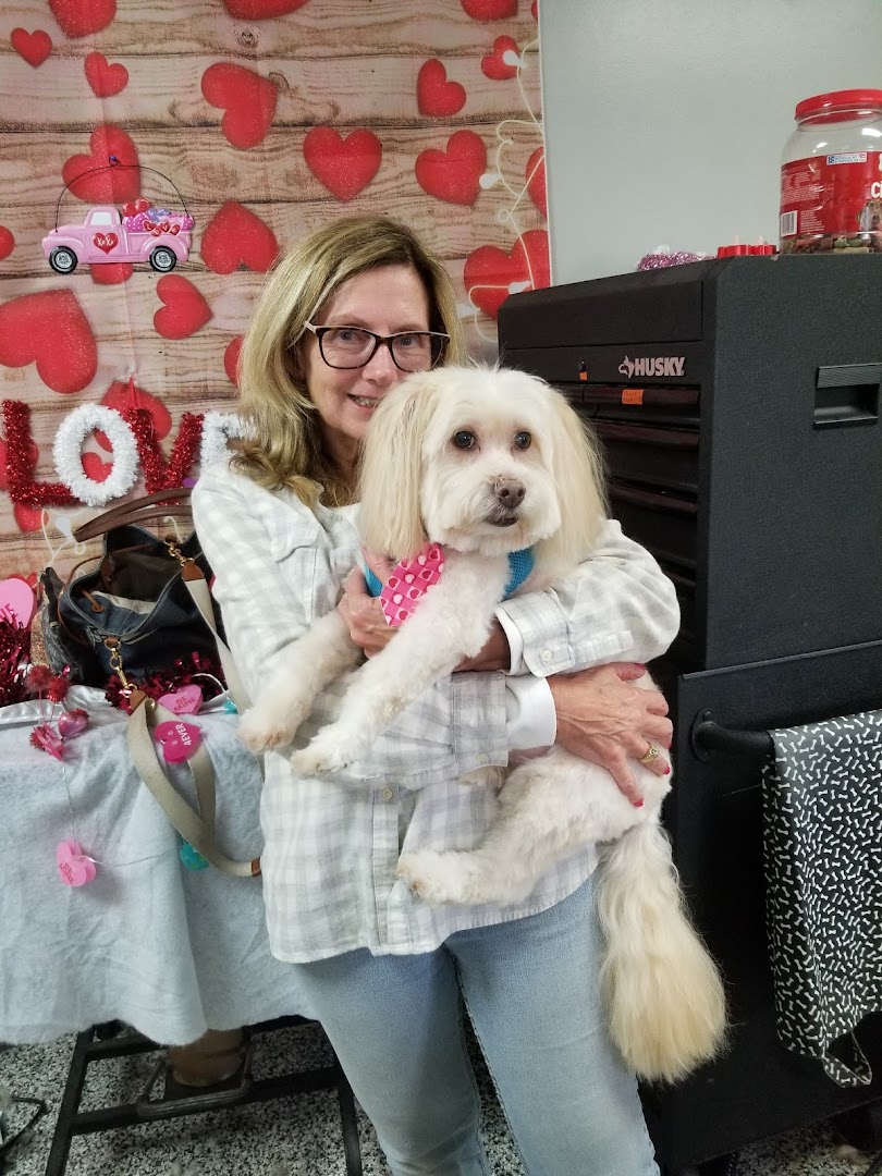 A comfy pet grooming salon