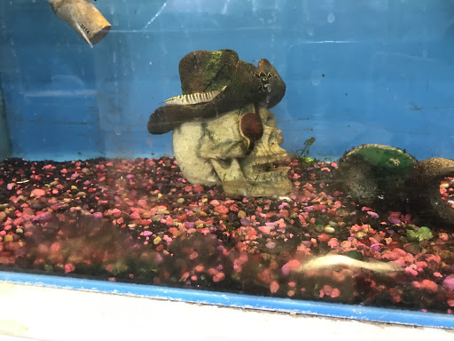 Pet Store «Pets Plus - Lansdale», reviews and photos, 555 S Broad St, Lansdale, PA 19446, USA