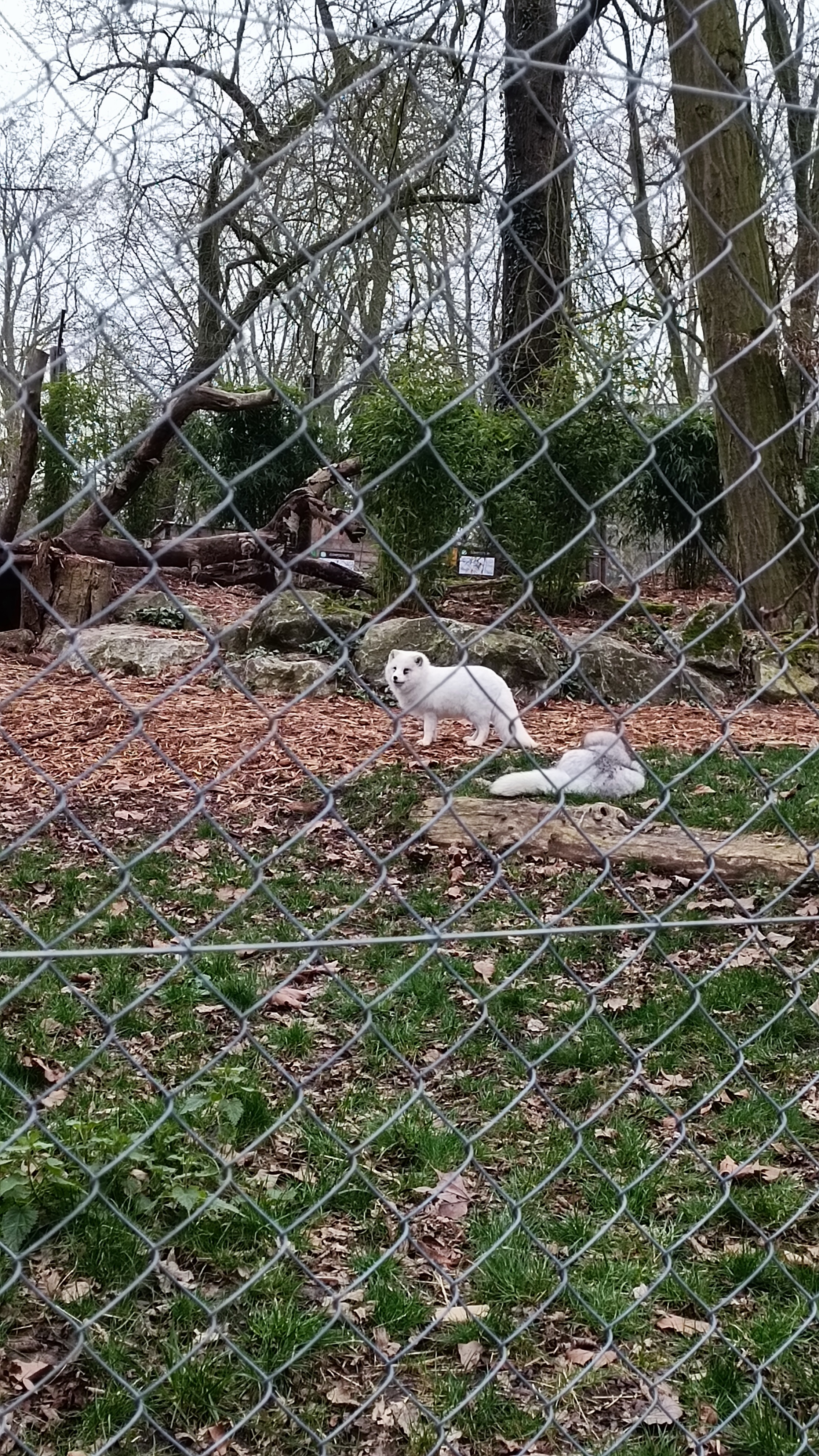 Photo n° 6 de l'avis de Mike.O fait le 25/02/2023 à 09:51