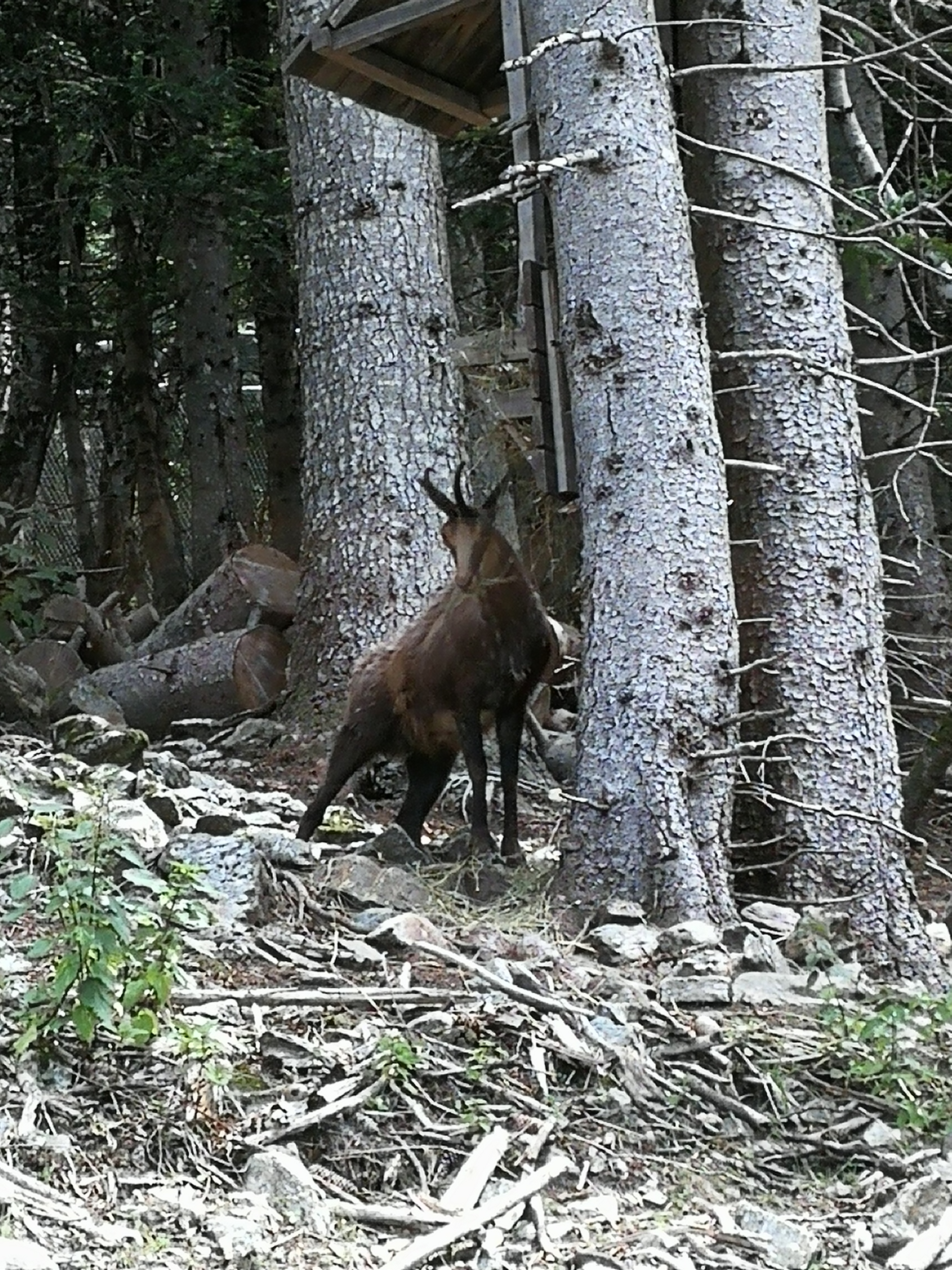 Photo n° 5 de l'avis de juliette.a fait le 09/07/2020 à 14:33