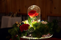 Elevated Events LLC - Photo 6 - Car repair in , Pensacola