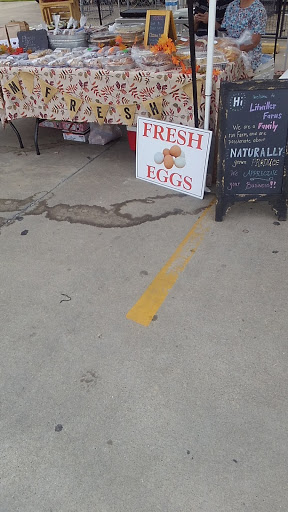 Home Improvement Store «Tractor Supply Co.», reviews and photos, 1050 N Pine St, DeRidder, LA 70634, USA