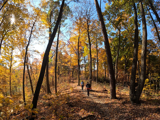 Knobstone Trail
