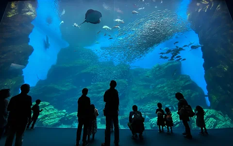 Sendai Umino-Mori Aquarium image