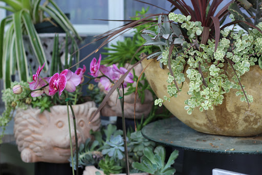 Florist «Grace Lakes Florist, Inc», reviews and photos, 997 5th Ave Pkwy, Naples, FL 34102, USA