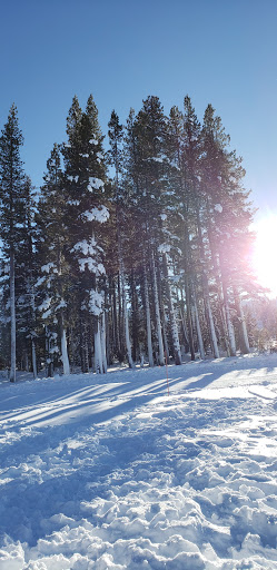 Grocery Store «Soda Springs General Store», reviews and photos, 21719 Donner Pass Rd, Soda Springs, CA 95728, USA