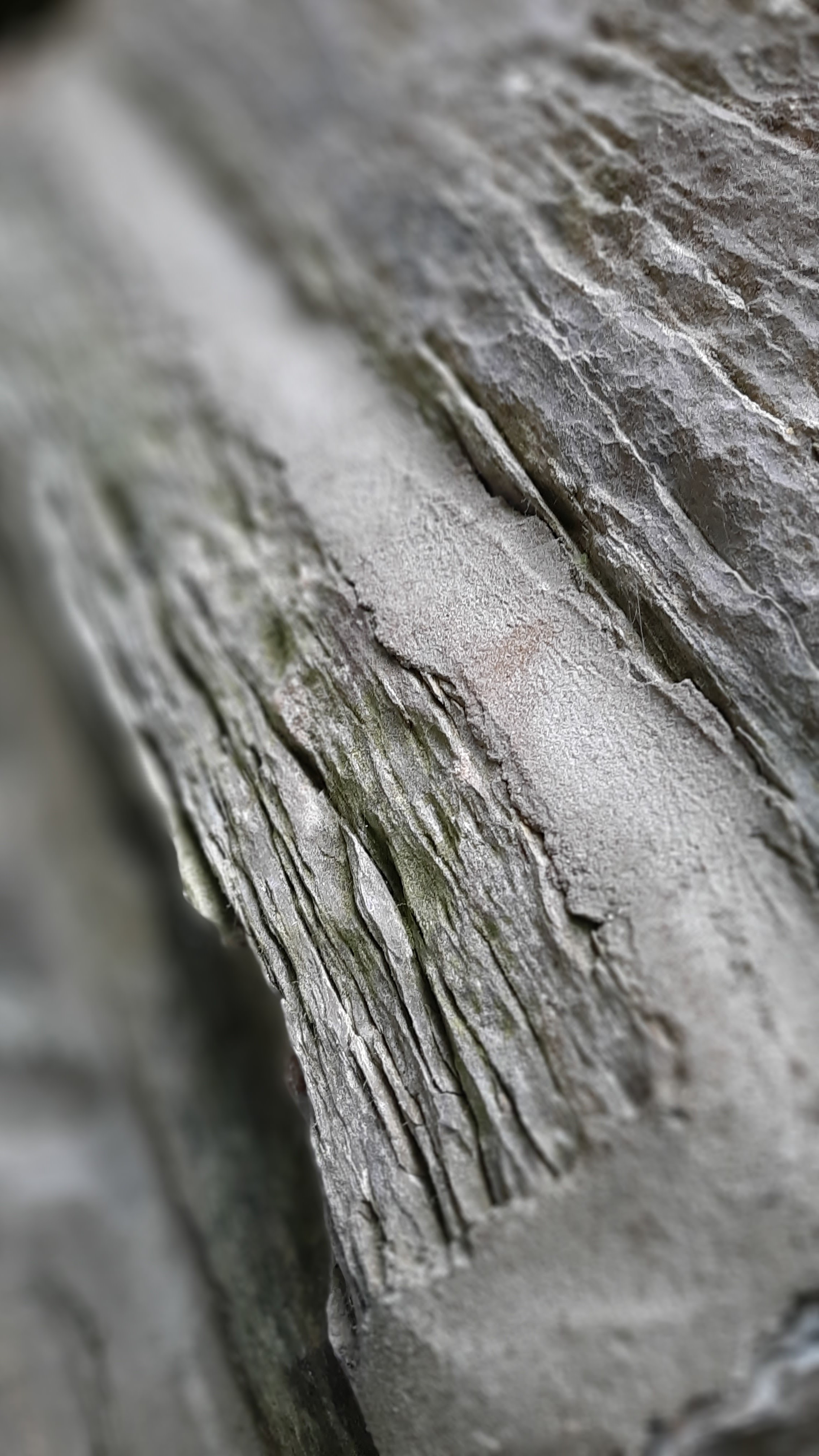 Photo n° 6 de l'avis de Véronique.a fait le 07/08/2021 à 21:51