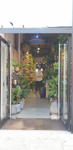 The Nunhead Gardener - Camberwell