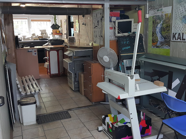 Opinii despre Ksero Wielkoformatowe Laminowanie Druk Skan Kolor în Psie Pole - Drukarnia