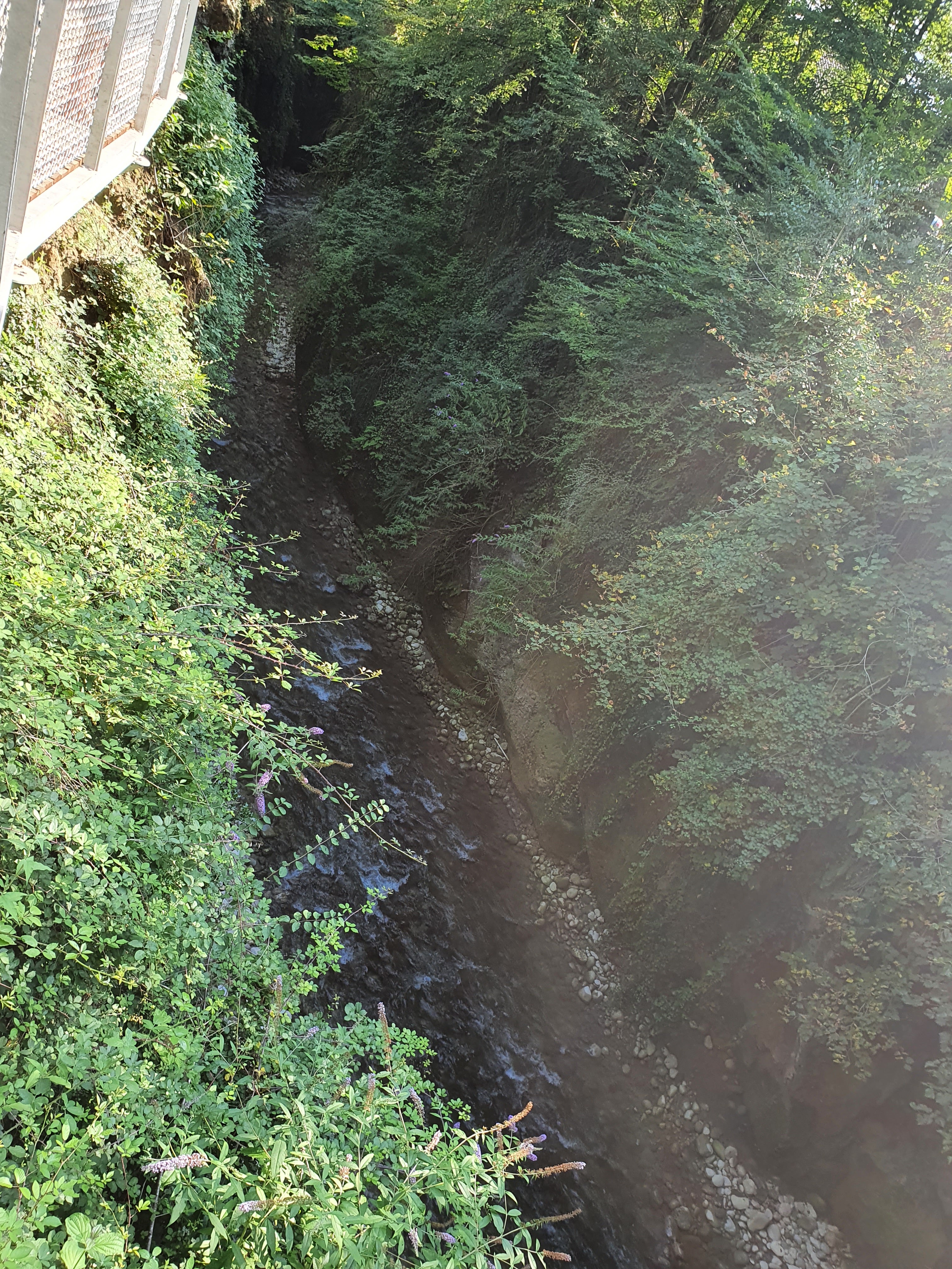 Photo n° 1 de l'avis de Nadège.E fait le 14/08/2021 à 13:17
