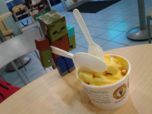 Ice Cream Shop «Marble Slab Creamery», reviews and photos, 10670 Culebra Rd #103, San Antonio, TX 78251, USA