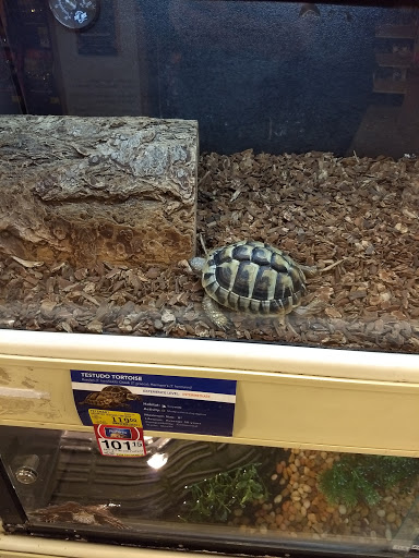 Pet Supply Store «PetSmart», reviews and photos, 8500 N Evanston Ave, Kansas City, MO 64157, USA