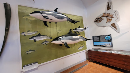 Natural History Museum «George B. Dorr Museum of Natural History», reviews and photos, 105 Eden St, Bar Harbor, ME 04609, USA