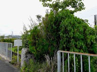 安井宮旧地笠松跡