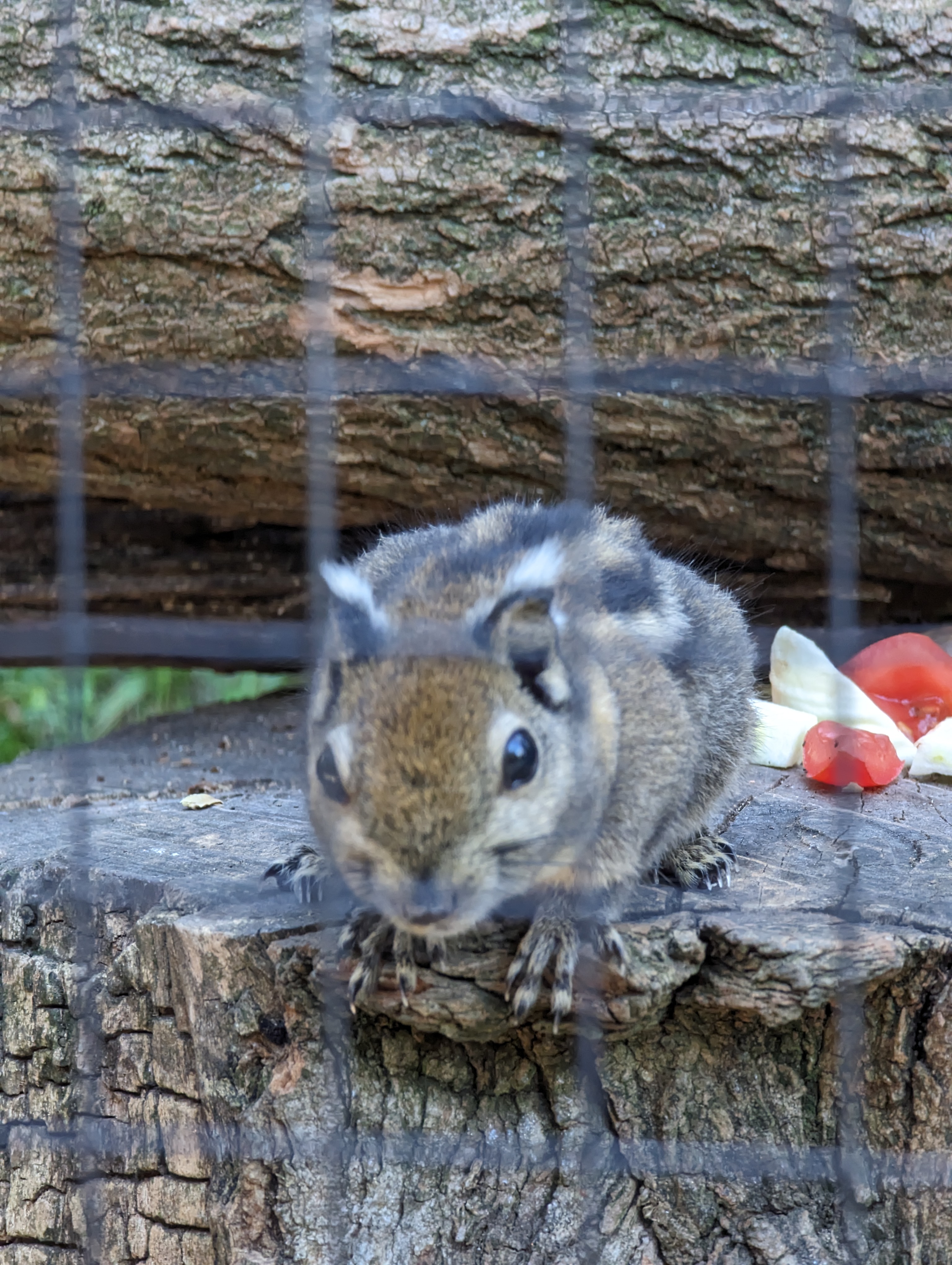 Photo n° 17 de l'avis de Thibaud.l fait le 10/10/2023 à 07:10