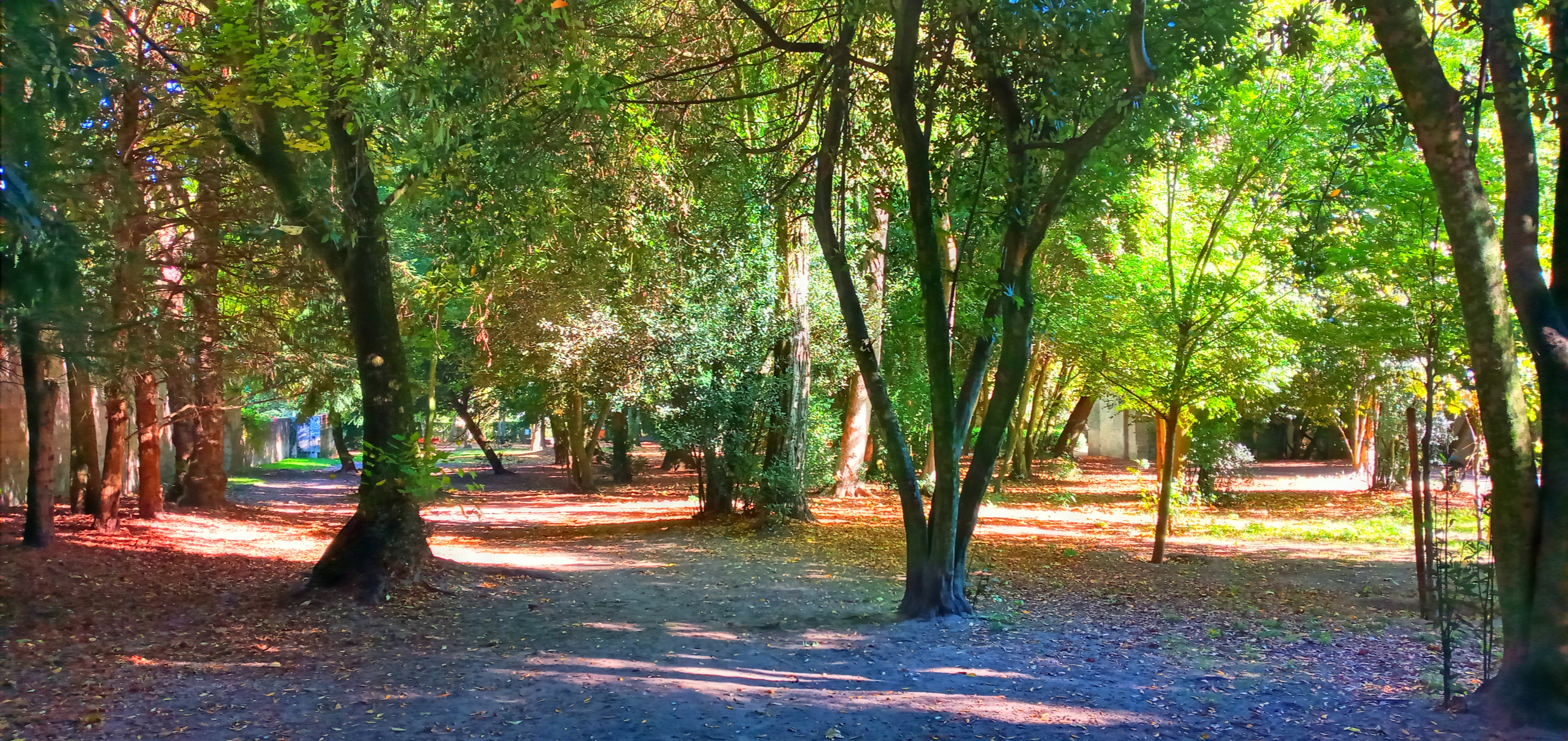 Photo n° 16 de l'avis de Olthy.3 fait le 23/10/2022 à 13:56