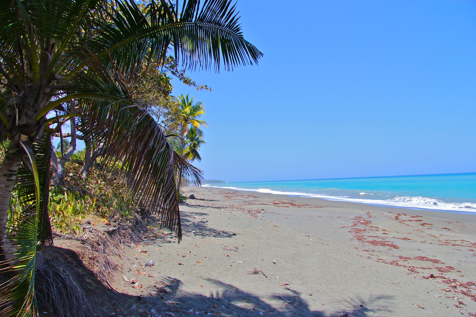 Fotografija Playa Duaba z dolga ravna obala