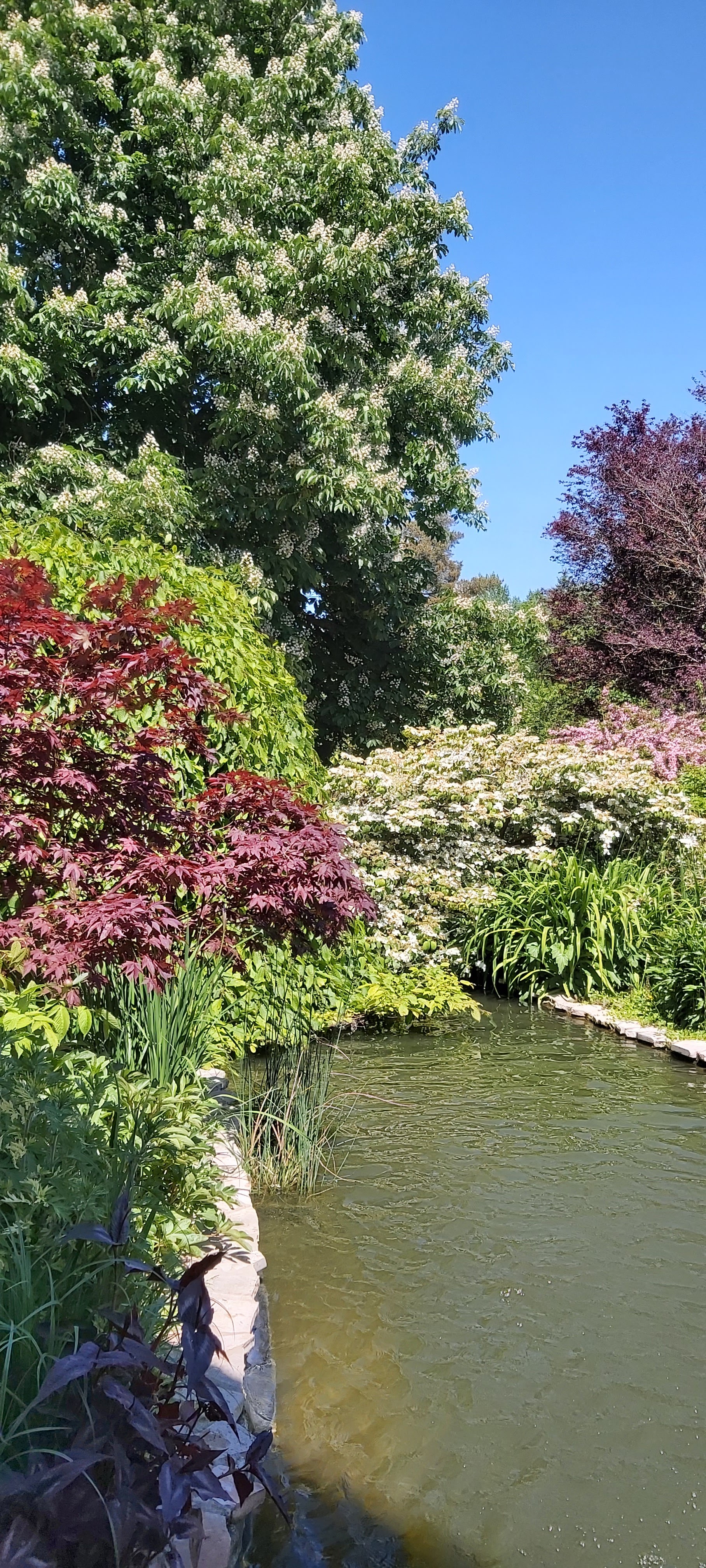 Photo n° 1 de l'avis de Marie-France.o fait le 31/05/2021 à 13:46