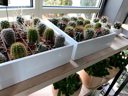 Florist «Red Square Flowers», reviews and photos, 337 W Mifflin St, Madison, WI 53703, USA