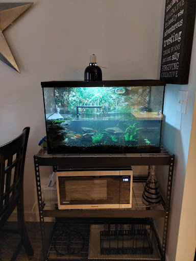 Pet Supply Store «PetSmart», reviews and photos, 16257 N Scottsdale Rd, Scottsdale, AZ 85254, USA