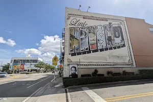 Little Havana Mural image