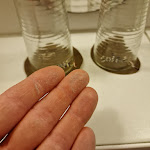 Photo n°1 de l'avis de Daniel. fait le 07/02/2024 à 17:14 sur le  Hotel MUSTANG INN à Dresden