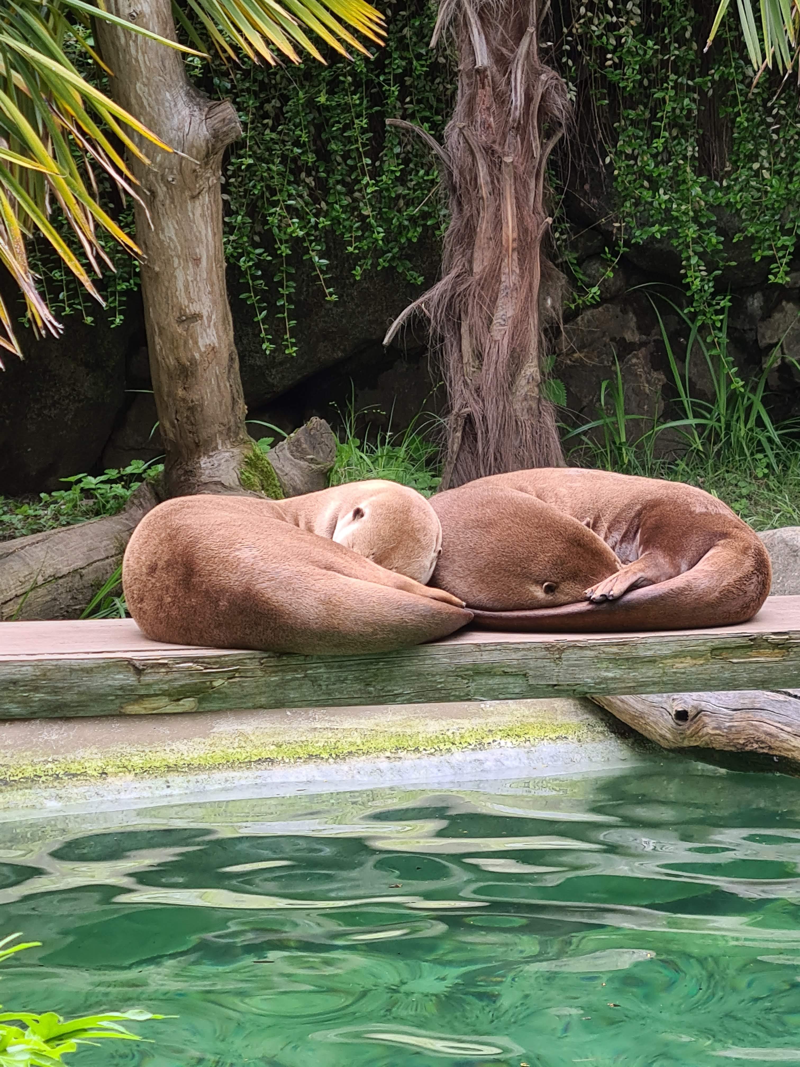 Photo n° 2 de l'avis de Antoine.u fait le 02/08/2023 à 07:13