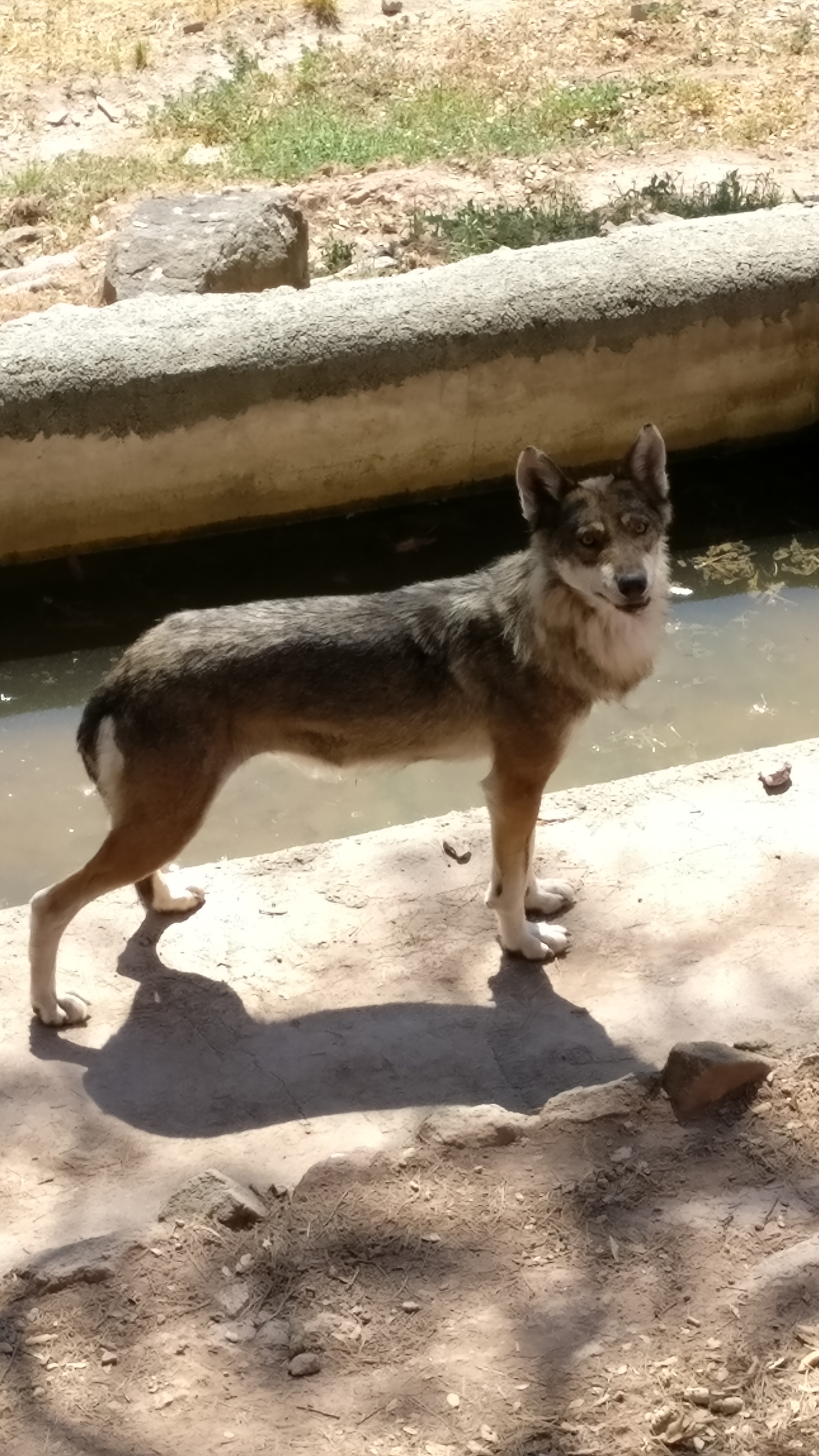 Photo n° 6 de l'avis de Maël.L fait le 10/08/2016 à 11:27