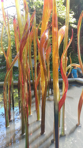 Botanical Garden «Atlanta Botanical Garden», reviews and photos, 1345 Piedmont Ave NE, Atlanta, GA 30309, USA