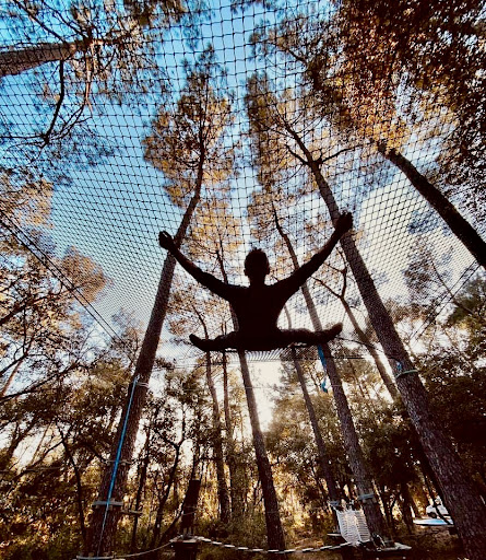 Photo 1 - Parc casse-noisette