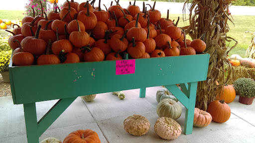 Produce Market «Poor Boys Produce & Vegetable», reviews and photos, 263 US-158, Camden, NC 27921, USA