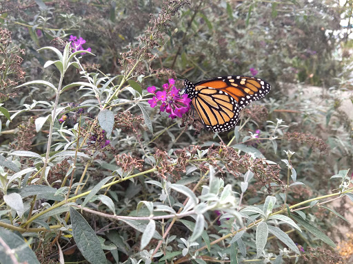 Science Museum «New York Hall Of Science», reviews and photos, 47-01 111th St, Queens, NY 11368, USA