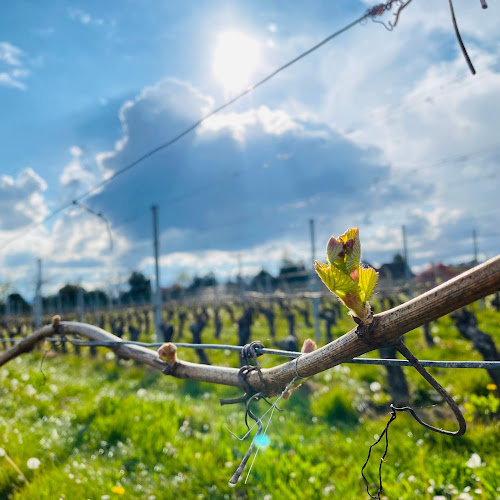 Domaine des Alouettes