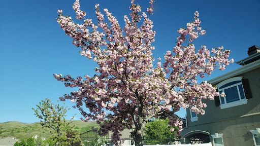 Public Golf Course «Eaglewood Golf Course», reviews and photos, 1110 E Eaglewood Dr, North Salt Lake, UT 84054, USA