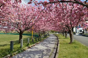 Tsuruokaseibu Park image