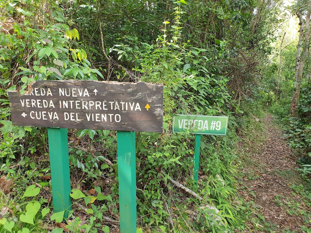 Bosque Estatal De Guajataca