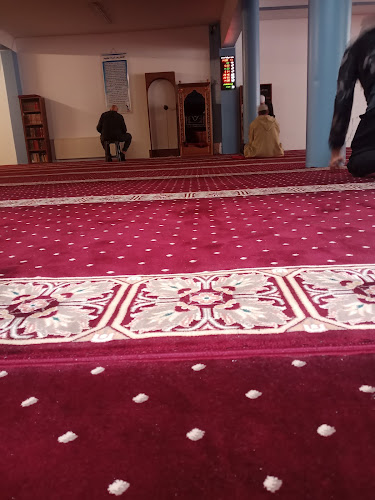 Beoordelingen van Moskee Arafat in Brussel - Vereniging