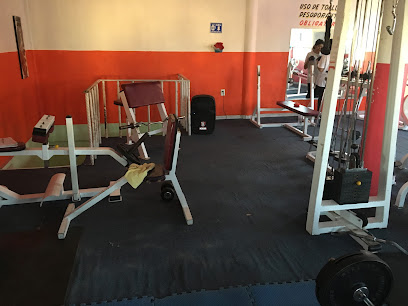 ARES GYM